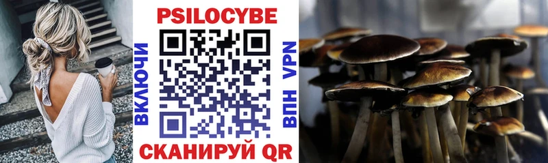 Псилоцибиновые грибы прущие грибы  Купить закладки  Ижевск 